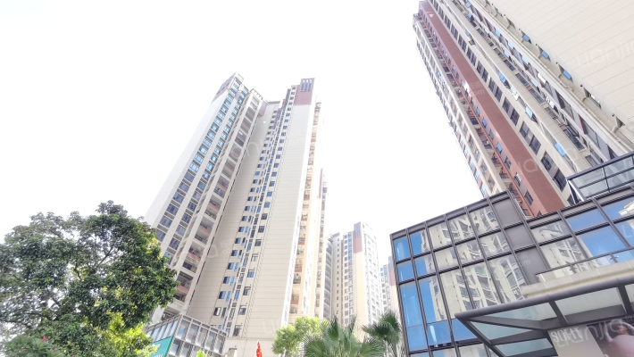 文岭西堤外景图