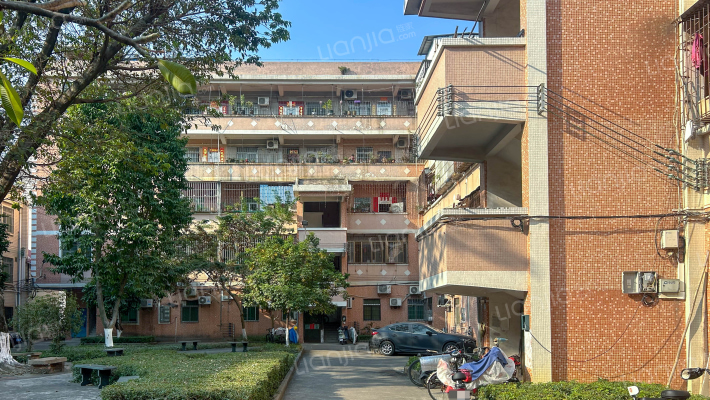 梅花街40号外景图