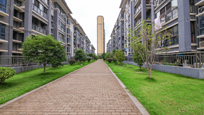 伟梦东方院外景图