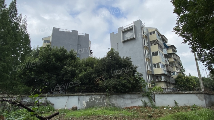 五桂小区外景图