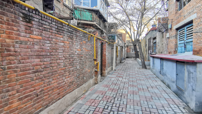 老树德里外景图