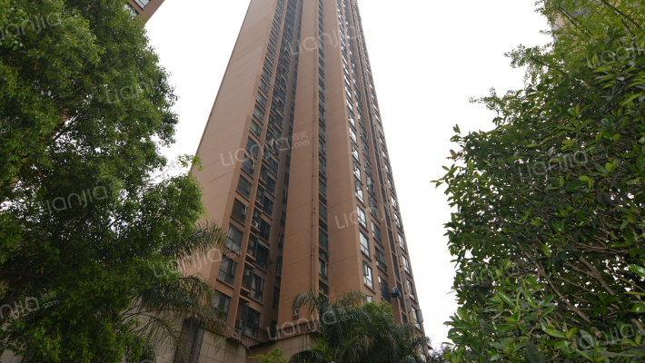 蓝光COCO蜜城外景图