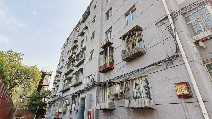 外贸家属楼外景图