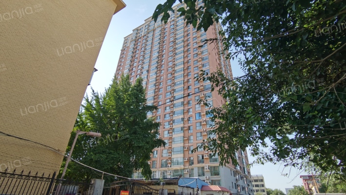 烟草高层外景图