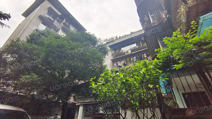 暑袜北一街93号外景图