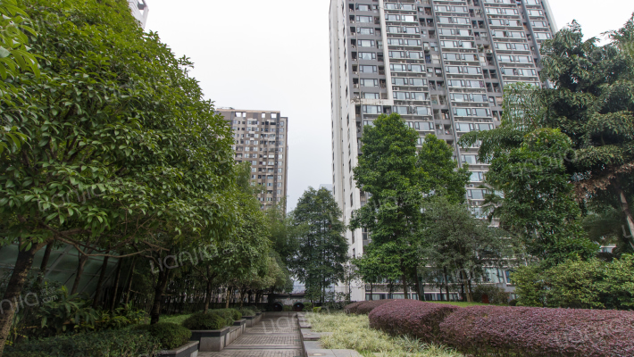 金科蚂蚁外景图