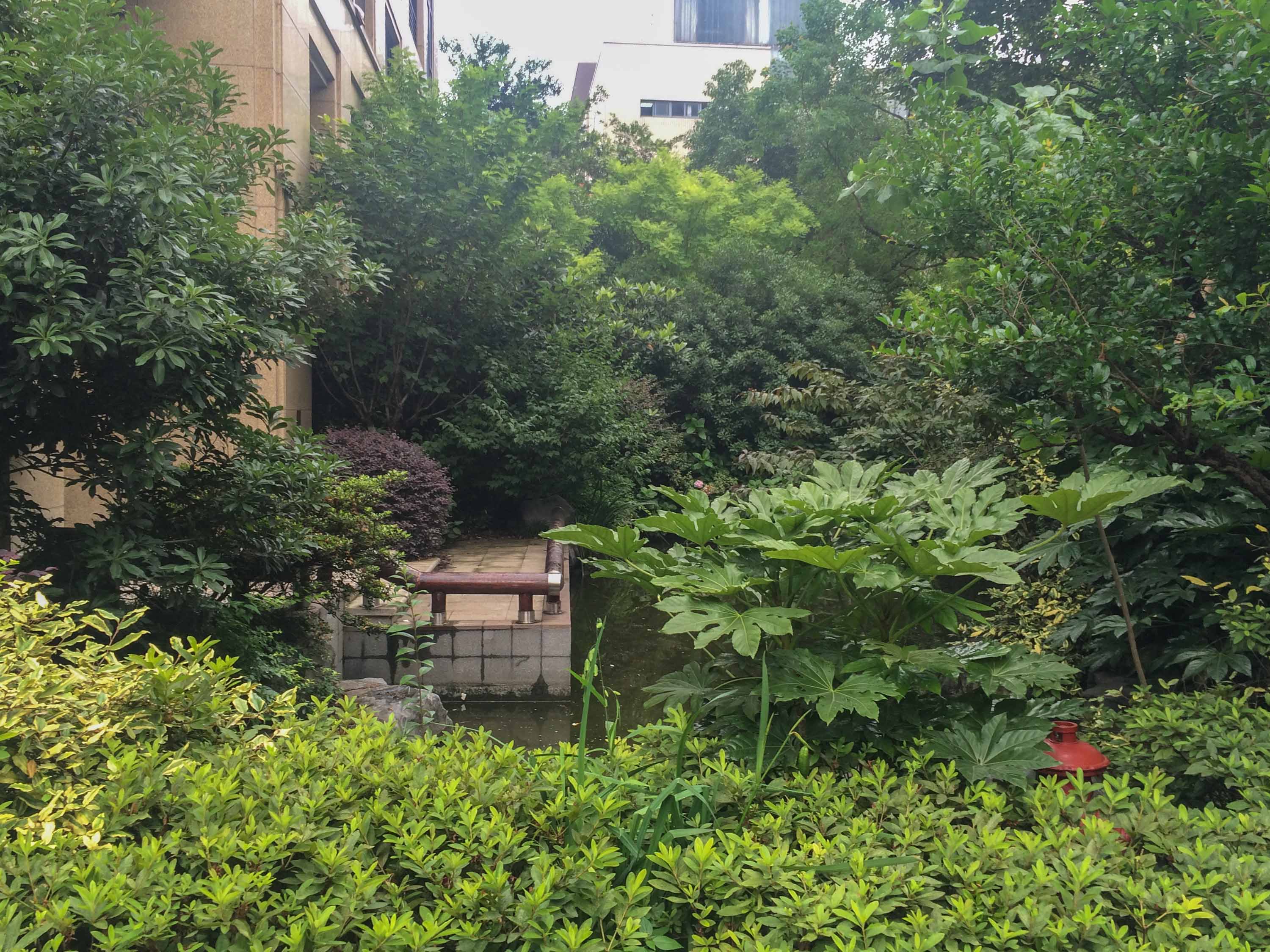 江南望庄小区实景 11