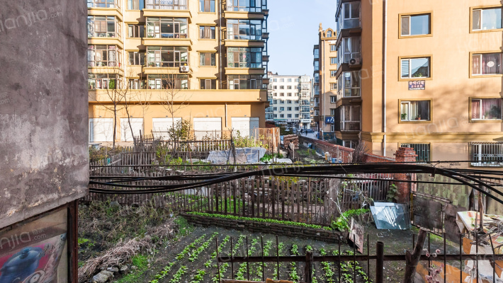 路桥公司家属楼外景图