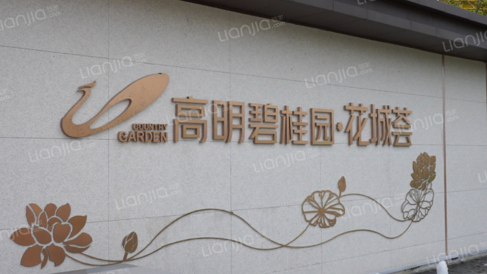 碧桂园·花城荟外景图