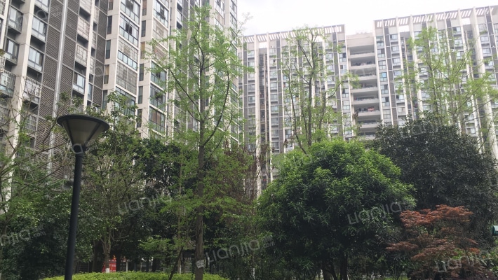 水乡茗居东区外景图