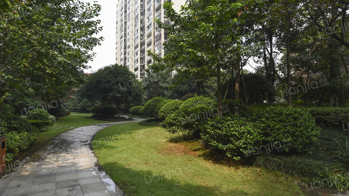 建鸿达华都外景图