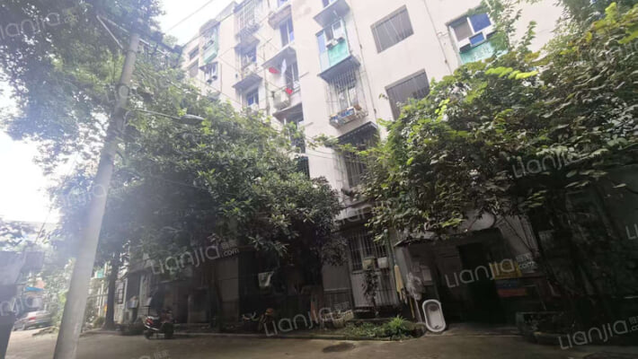 水碾河南三街3号外景图