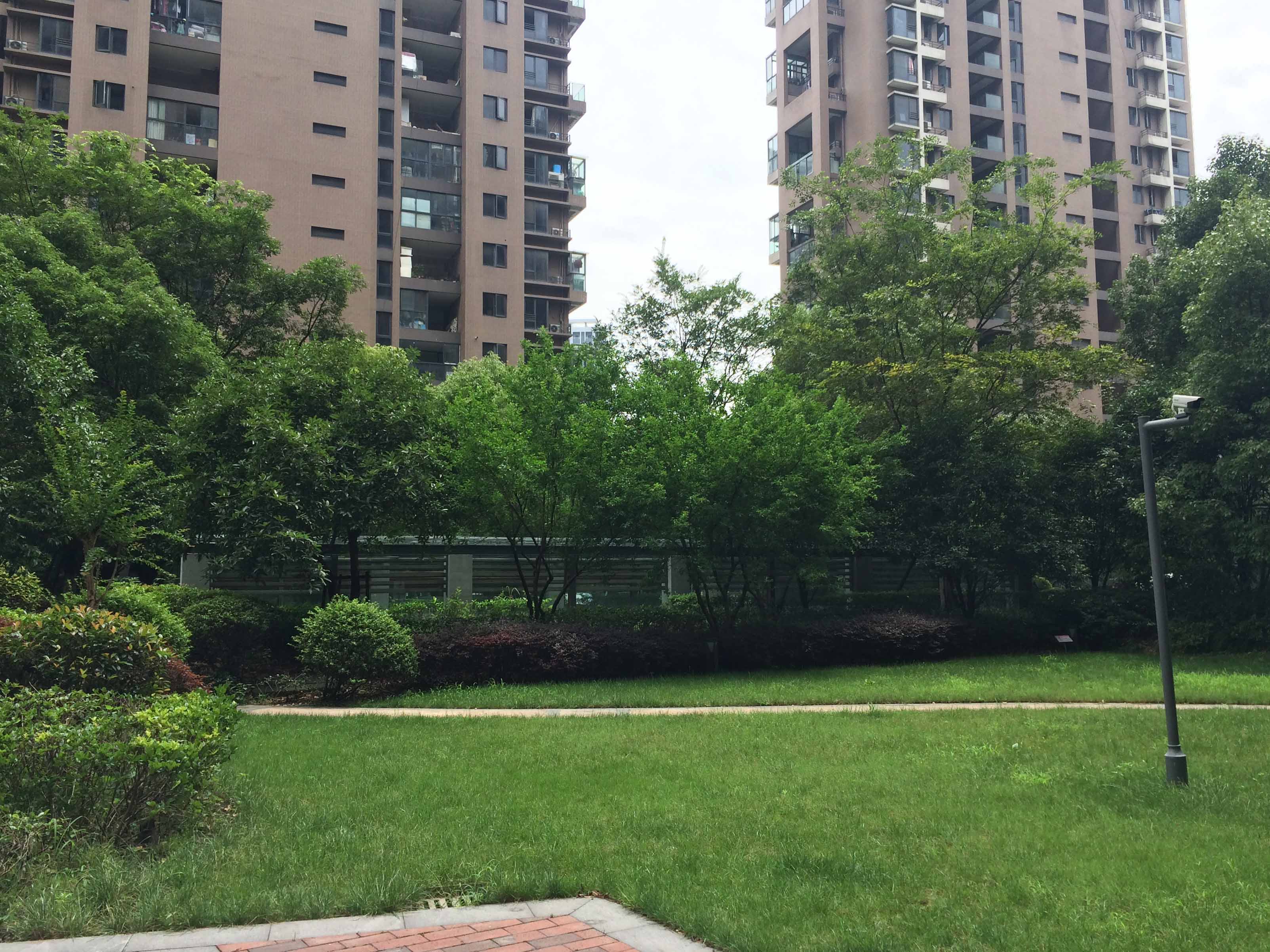 欣盛东方郡小区实景 5