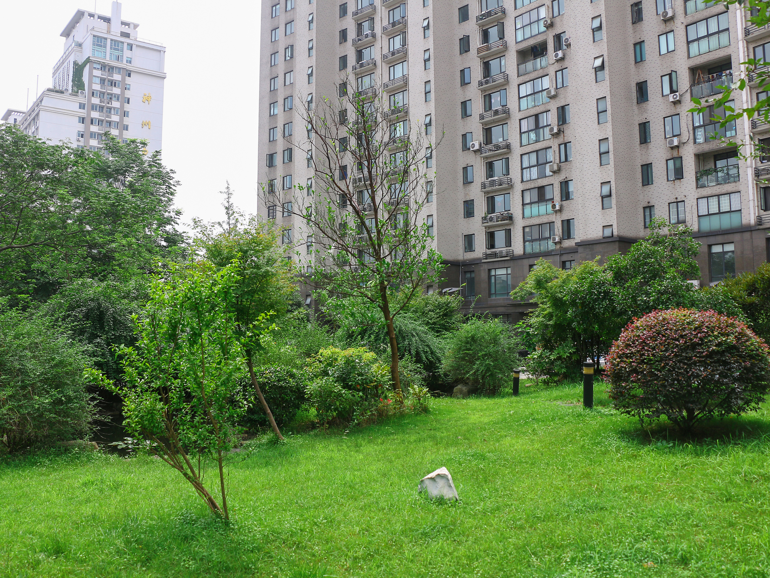 天成嘉苑小区实景 25