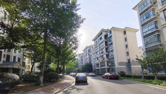 江南青年城楚襄园外景图