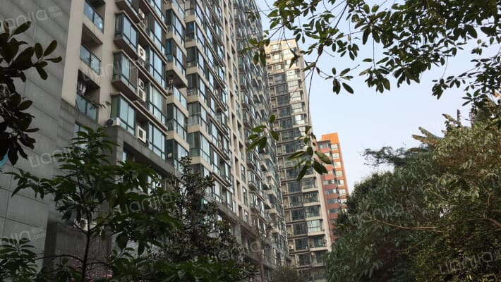 锦江华庭外景图