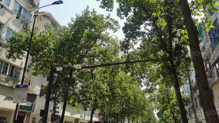 银杏公寓外景图