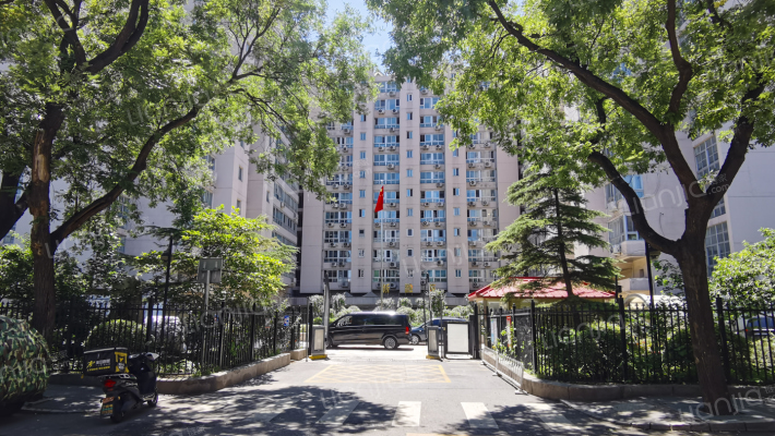 新文化街外景图