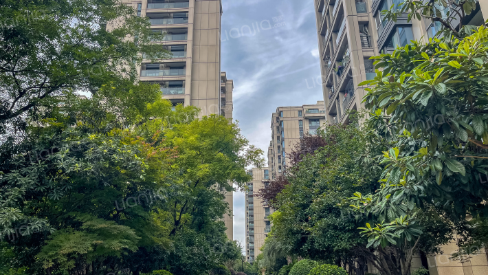 金色黎明二期外景图