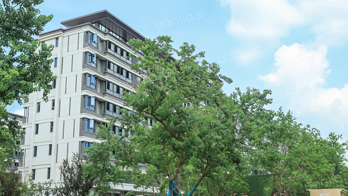 乐富强观锦台外景图