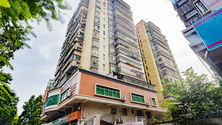 双龙大厦外景图