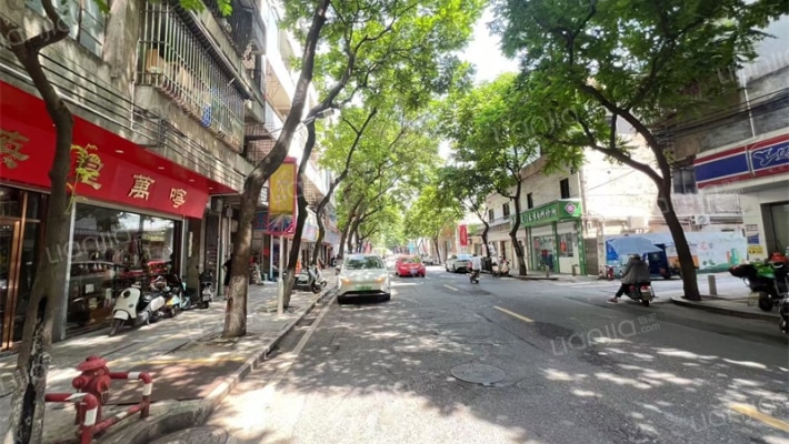 虎门解放路外景图