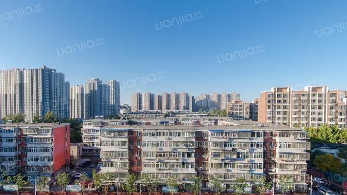 高杨树南里外景图