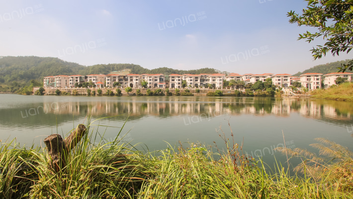 碧桂园秀丽湖外景图