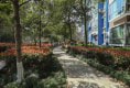 蔚蓝城市花园户型图实景图