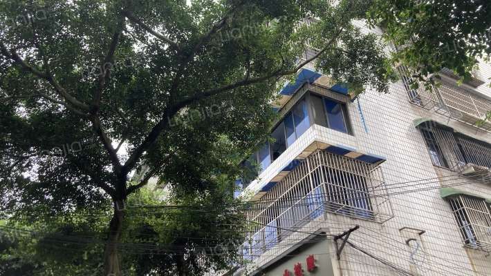 滨河路84号外景图