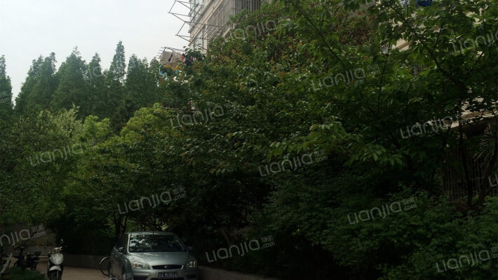 金基翠城外景图