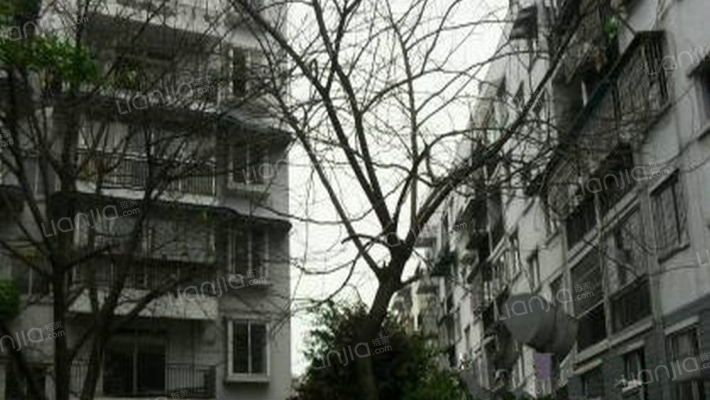 天府雅居外景图