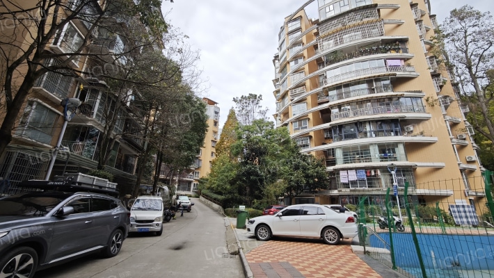 森林之家外景图