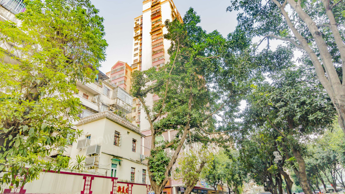 东华市场南街外景图