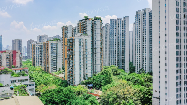 保利香雪外景图