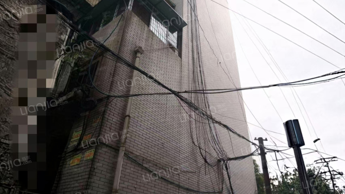 一环路东三段99号附8号外景图