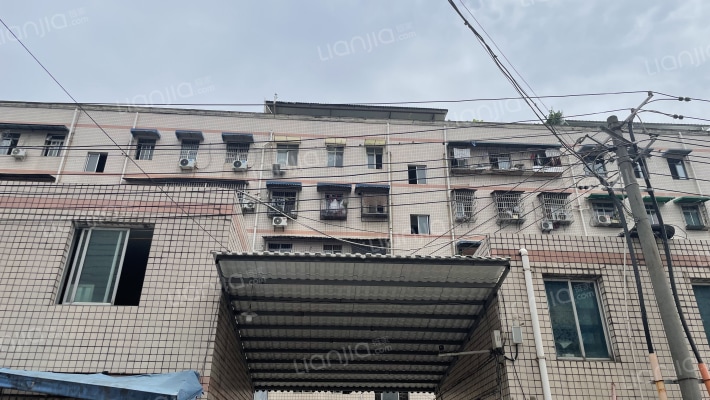 和平路133号外景图