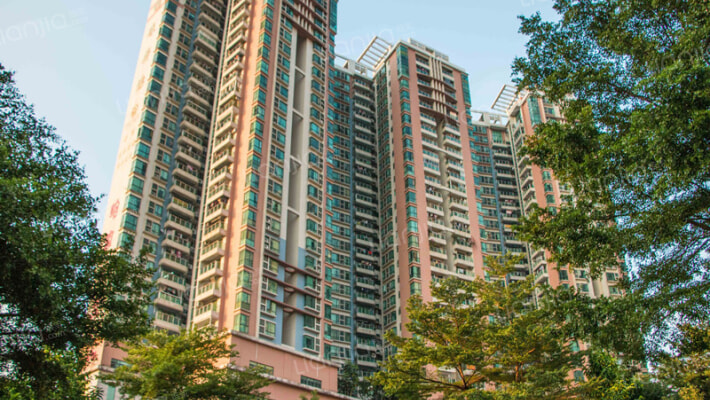 东莞明珠广场二手房