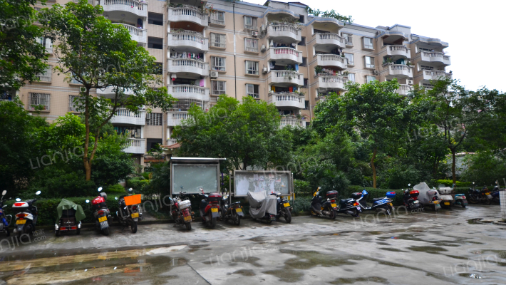 金沙海岸外景图