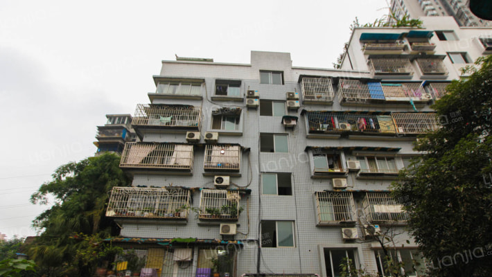 大黄路61号外景图