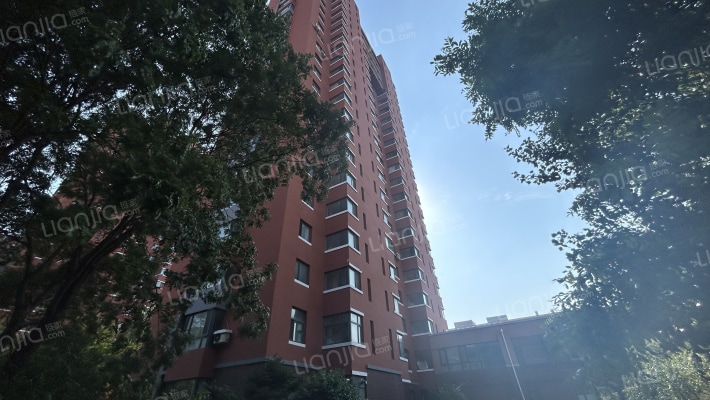 挪威森林外景图