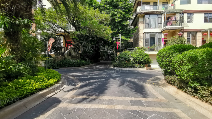 泰禾红树林E区外景图