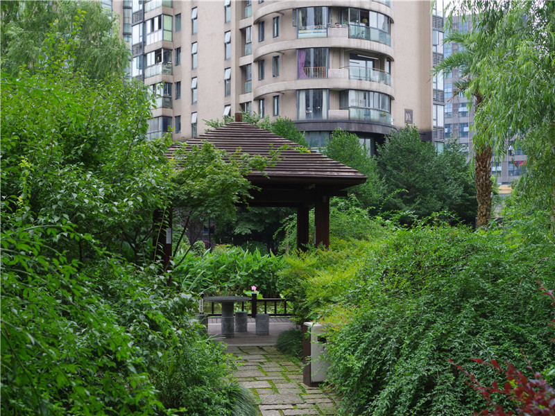 耀江文鼎苑 小区实景 39