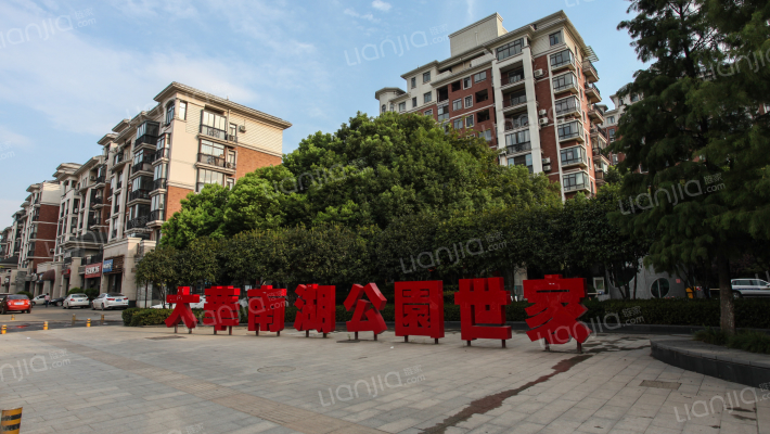 大华南湖公园世家一期外景图