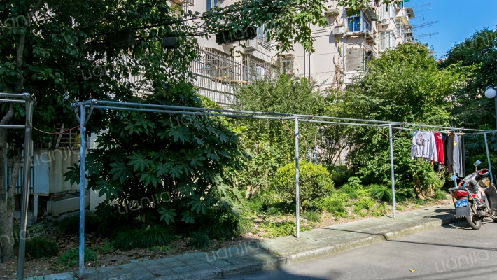 临沂六村外景图