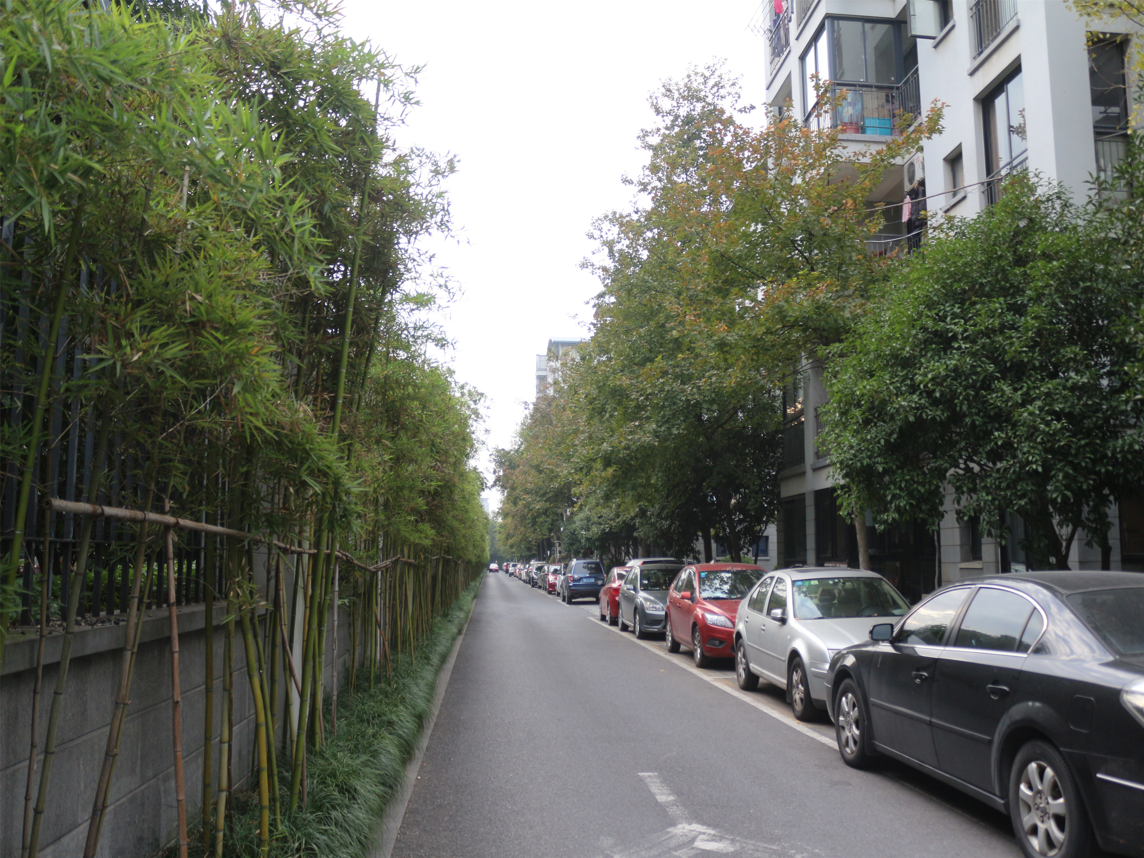江滨花园小区实景 15