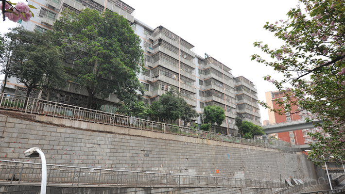 旺角佳园外景图