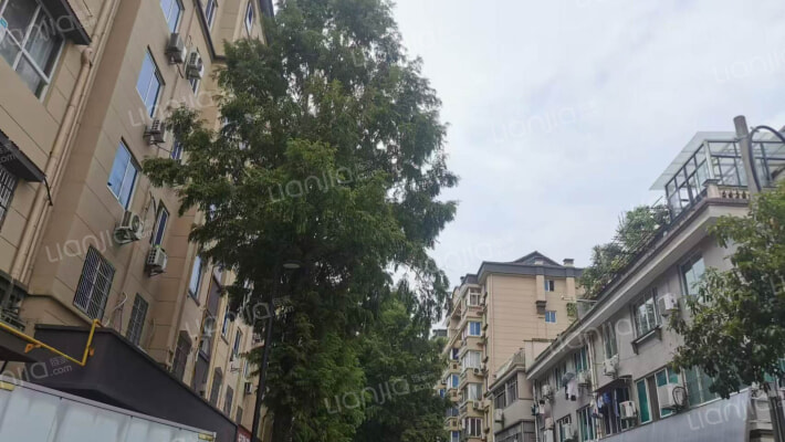 景杉路587号外景图