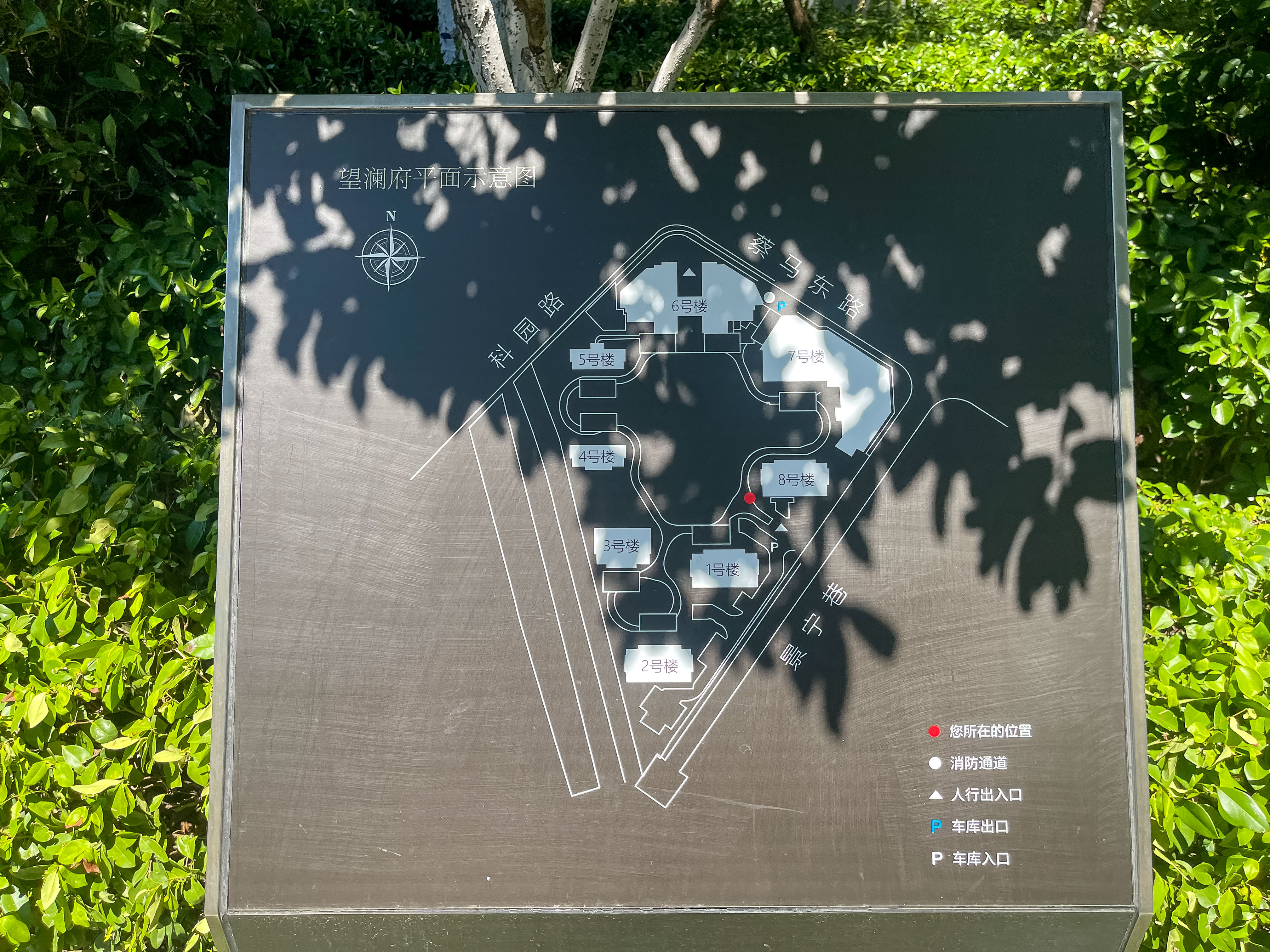 阳光城文澜府小区实景 9