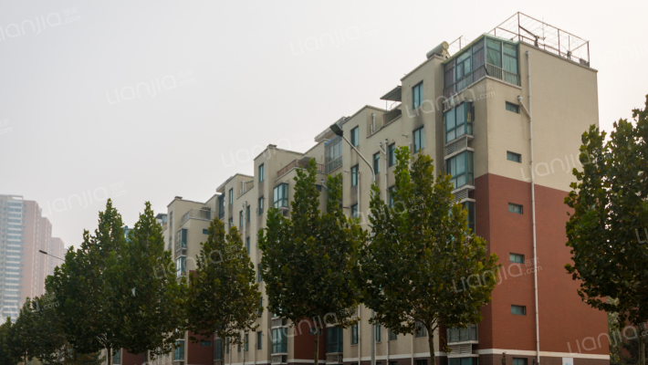 大河春天A区外景图